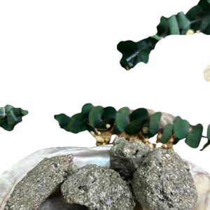 Pirita Chispa Premium